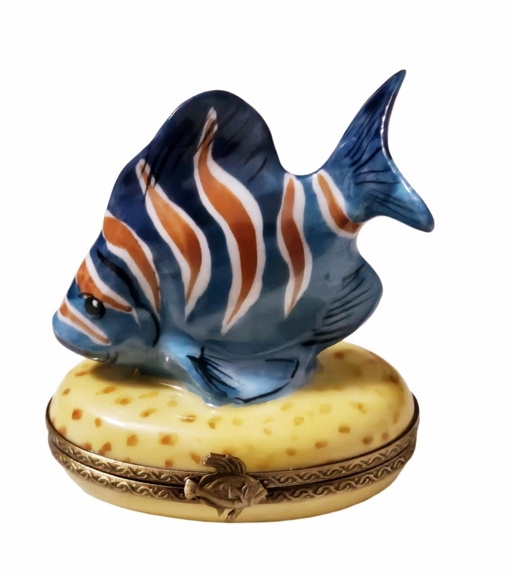 Blue Fish Orange Stripes Limoges Box for Collectors, view 3