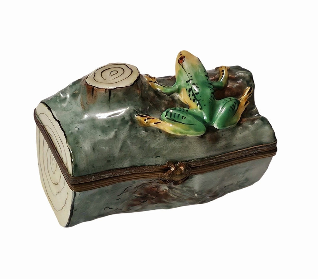 Frog on Green Log Limoges Box for Nature Lovers Gift, view 5