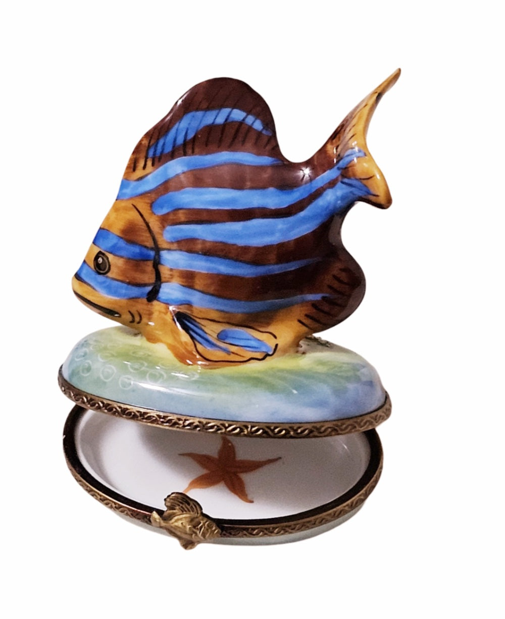 Brown Fish Blue Stripe Limoges Box, view 7