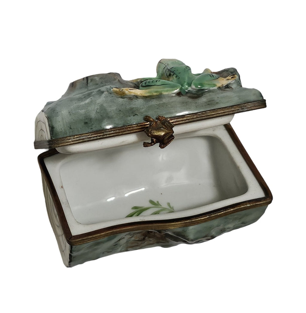 Frog on Green Log Limoges Box for Nature Lovers Gift, view 4