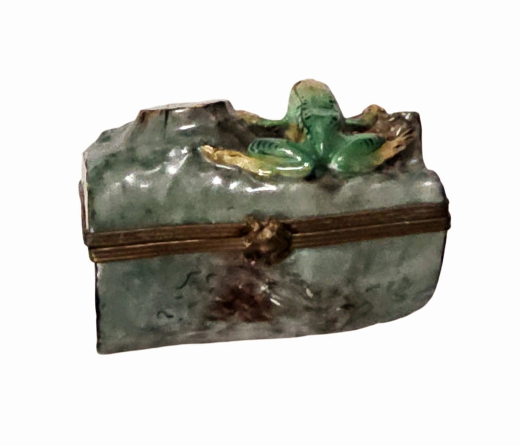 Frog on Green Log Limoges Box for Nature Lovers Gift, view 3