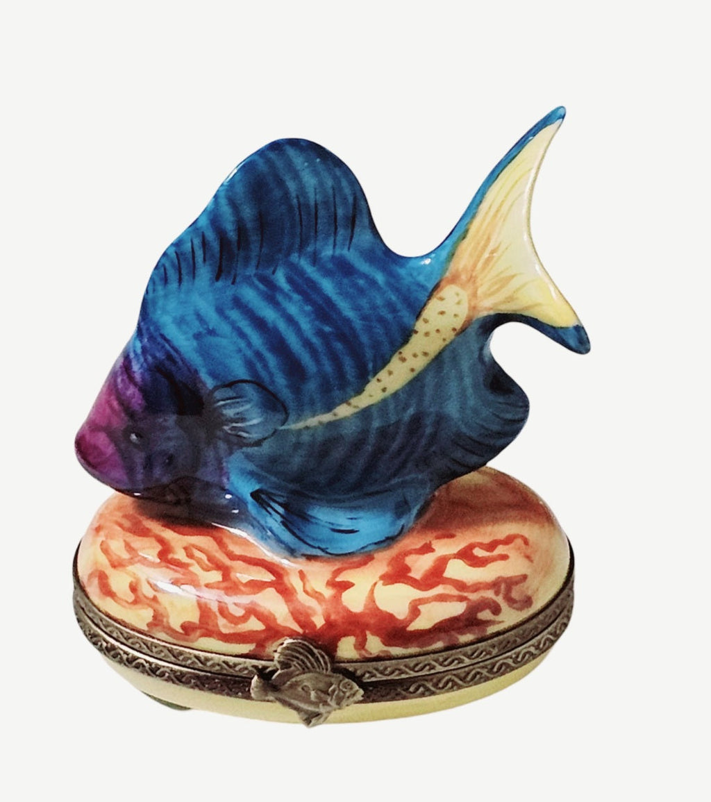 Blue Fish Yellow Tail Box for Collectors, view 2