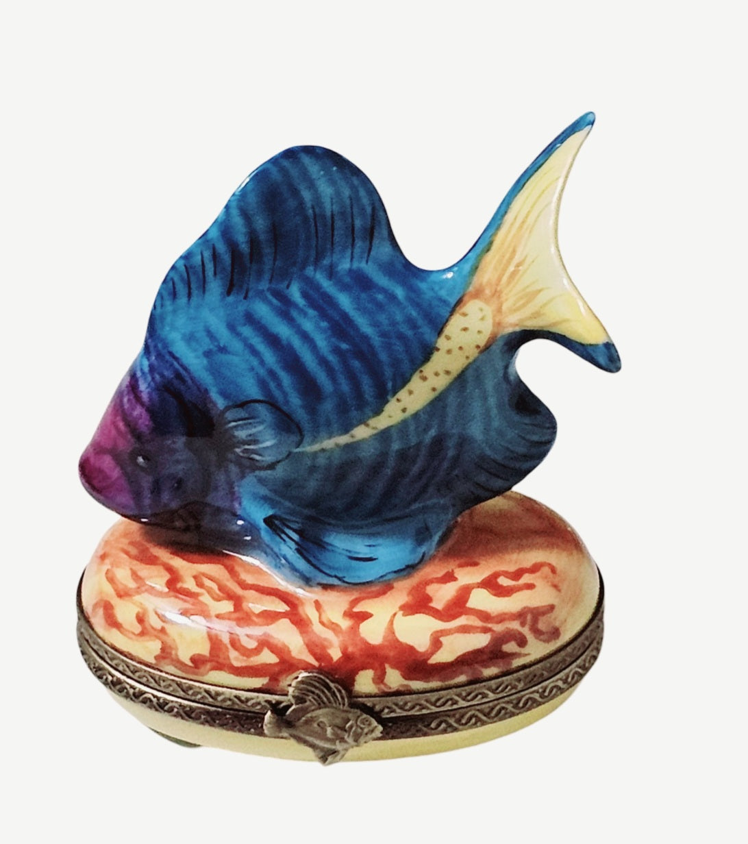 Blue Fish Yellow Tail Box for Collectors, view 2