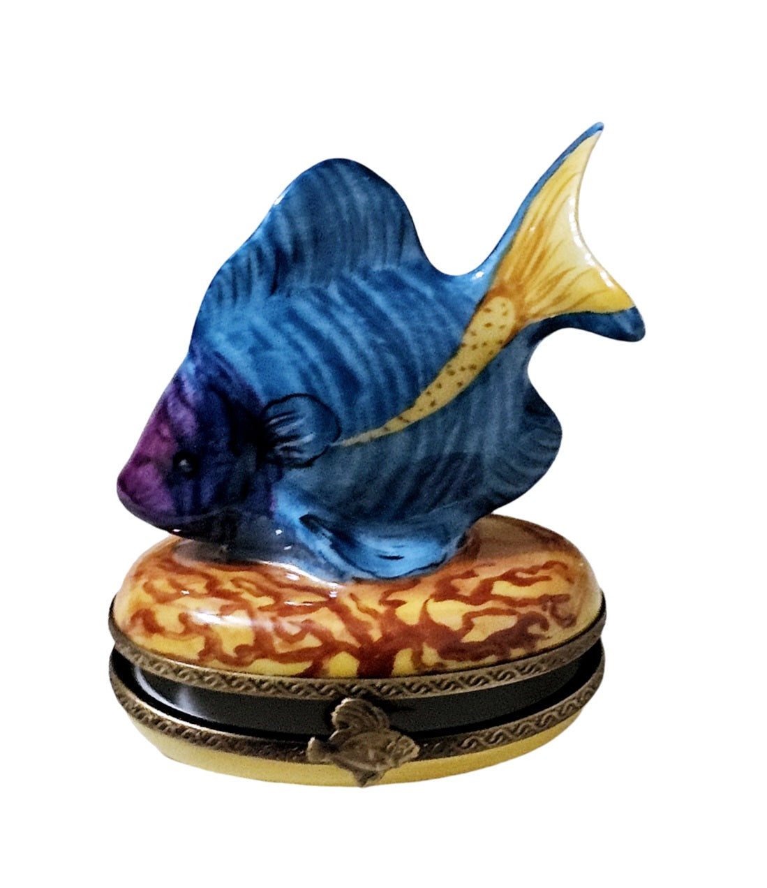 Blue Fish Yellow Tail Box for Collectors, view 4