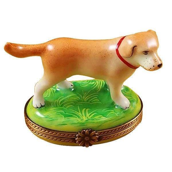 Standing Blond Labrador Figurine Limoges Box for Collectors, a hand-painted Limoges porcelain gift